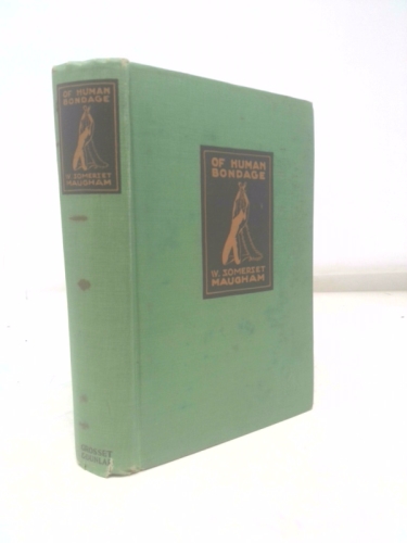 Actual Product Display Primary Cover