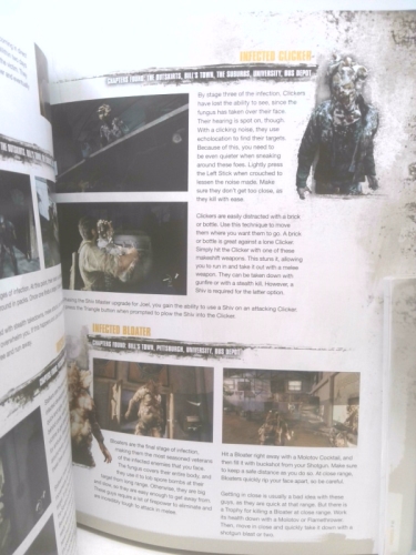 Actual Product Display 4