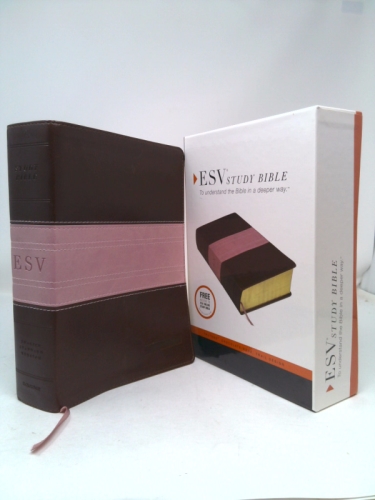 Actual Product Display Primary Cover