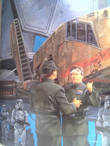 Actual Product Display 5