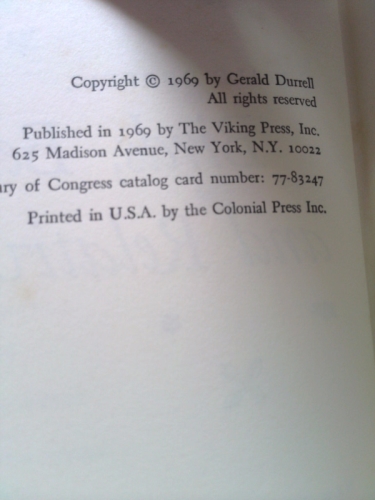 Actual Product Display 2