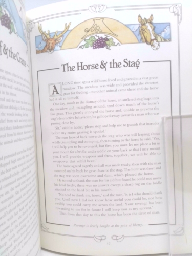 Actual Product Display 4