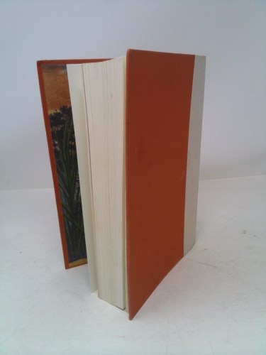 Actual Product Display 4