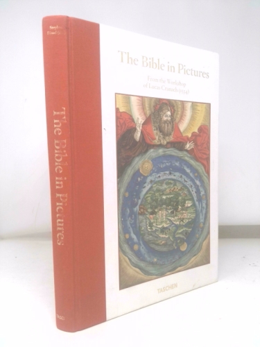 Actual Product Display Primary Cover