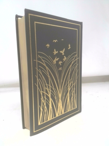 Actual Product Display 3