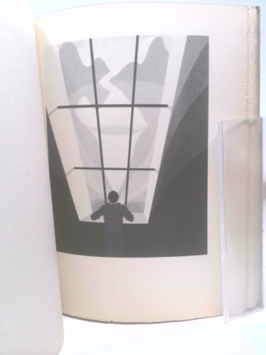 Actual Product Display 4