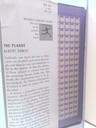 Actual Product Display 2