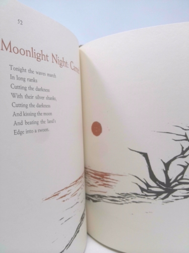 Actual Product Display 4