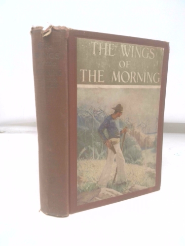 Louis Tracy THE WINGS OF THE MORNING Mead Schaeffer John Winston Co 1924