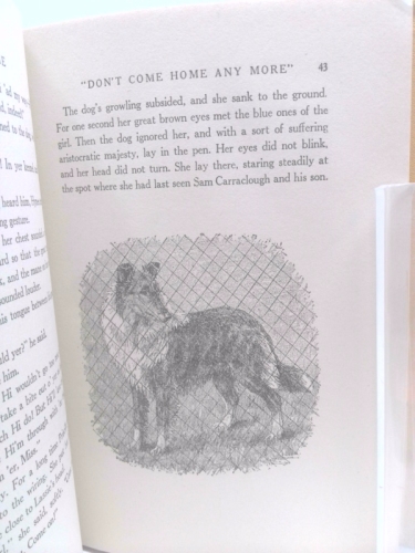 Actual Product Display 3