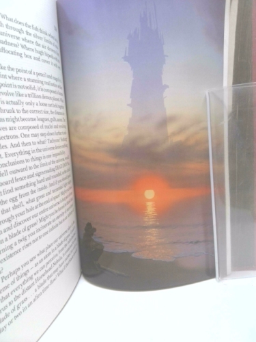 Actual Product Display 3