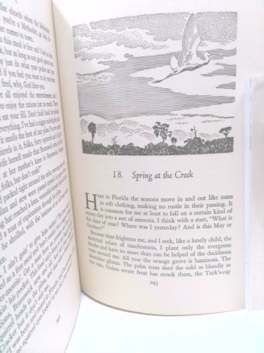 Actual Product Display 3