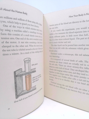 Actual Product Display 3