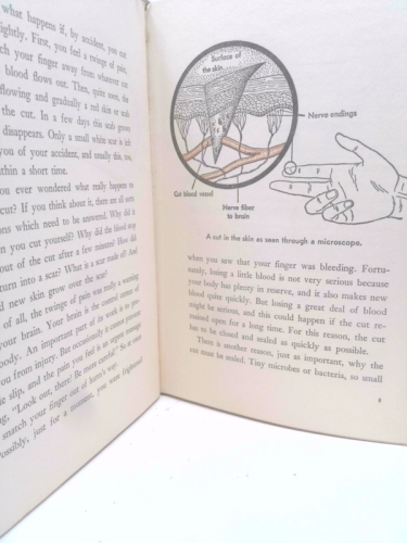 Actual Product Display 4