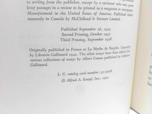 Actual Product Display 2