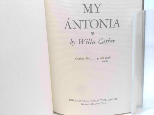 Actual Product Display 2