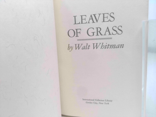 Actual Product Display 2