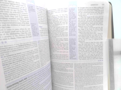 Actual Product Display 3