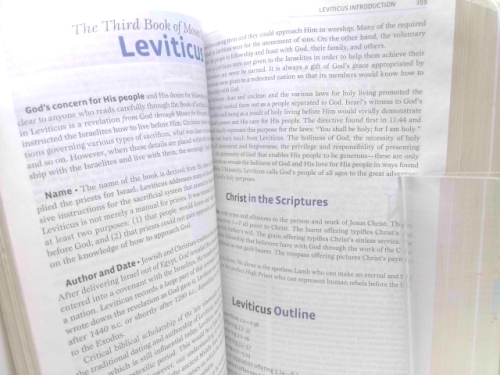 Actual Product Display 4