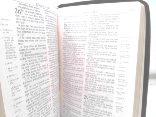 Actual Product Display 4