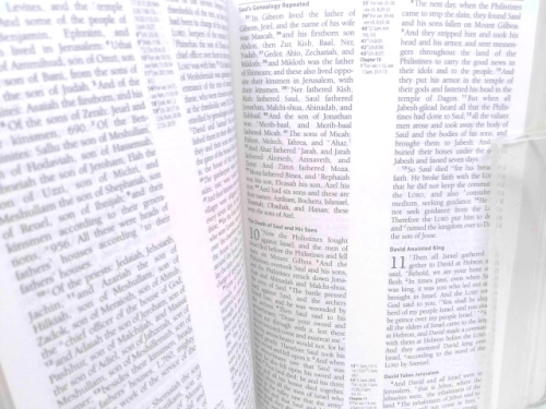 Actual Product Display 3