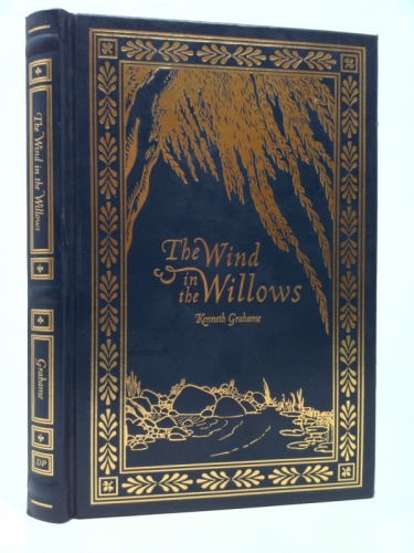 Actual Product Display Primary Cover