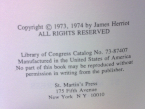 Actual Product Display 2