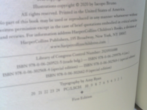 Actual Product Display 2