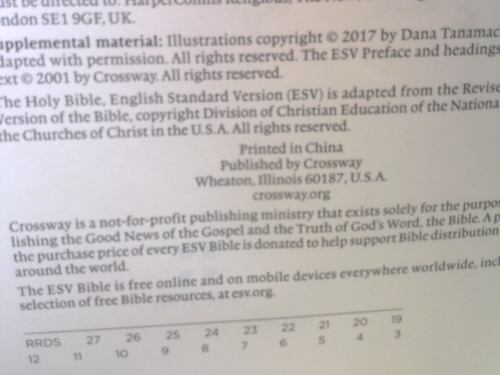 Actual Product Display 2