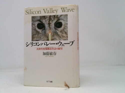 Outlook of the next generation information urban society - Silicon Valley Wave (1997) ISBN: 4871885062 [Japanese Import]