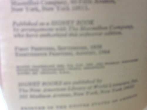 Actual Product Display 2