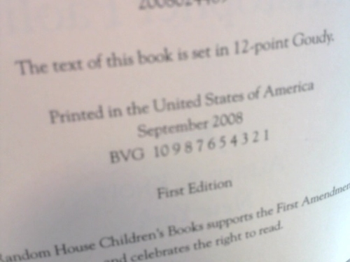 Actual Product Display 2