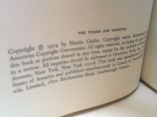 Actual Product Display 2