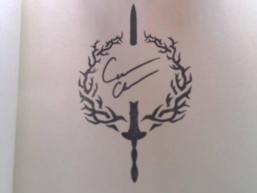 Actual Product Display 3