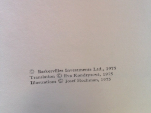 Actual Product Display 2