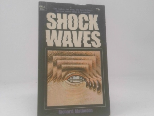 Shock Waves