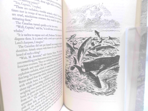 Actual Product Display 3