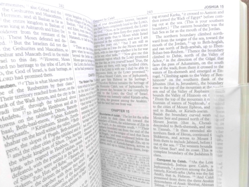 Actual Product Display 3