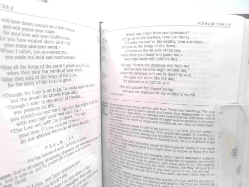 Actual Product Display 3