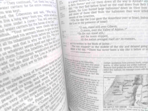 Actual Product Display 4