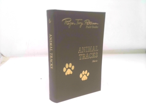 Actual Product Display Primary Cover