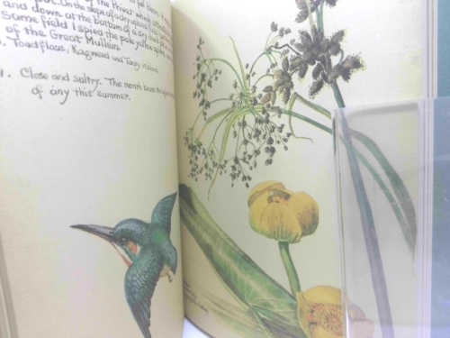 Actual Product Display 3