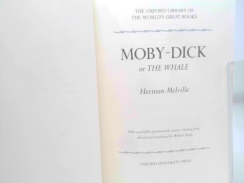 Actual Product Display 2