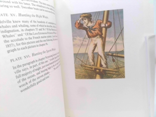 Actual Product Display 3