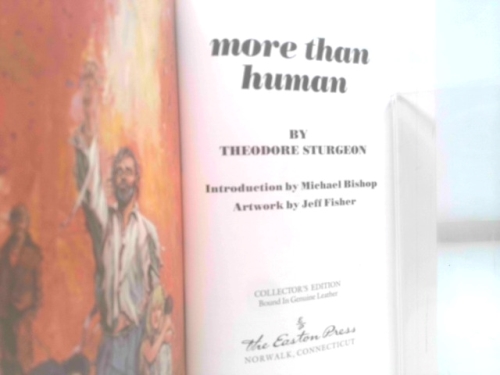 Actual Product Display 2