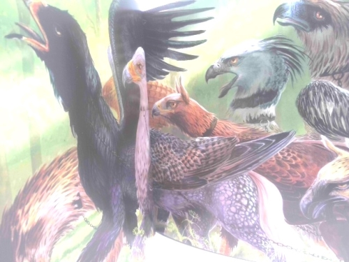 Actual Product Display 3