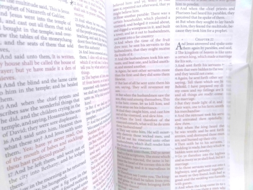 Actual Product Display 3