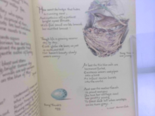 Actual Product Display 2