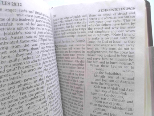 Actual Product Display 3