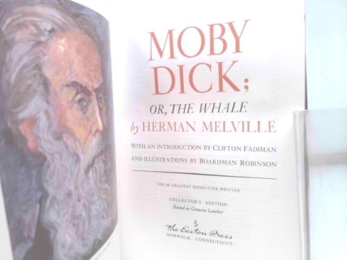 Actual Product Display 2